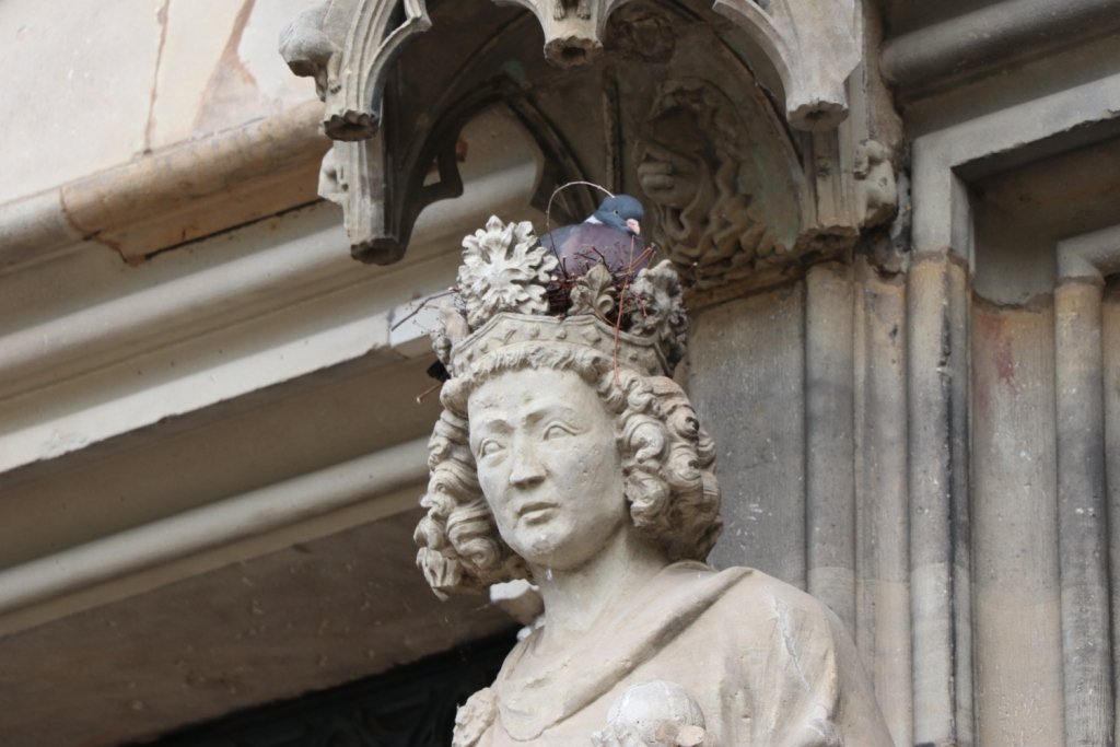 Bild cc BI OFFENE HEIDe